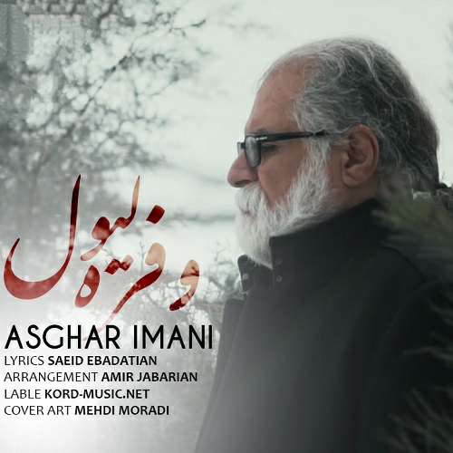 اصغر ایمانی وفره لیول